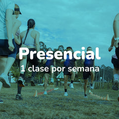 Presencial - 1 clase por semana